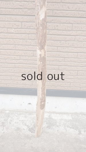 画像2: 棒流木・長尺