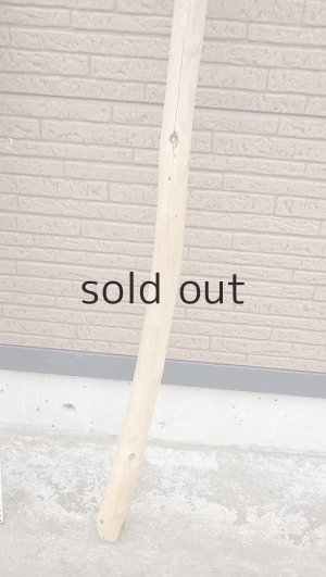 画像5: 棒流木・長尺