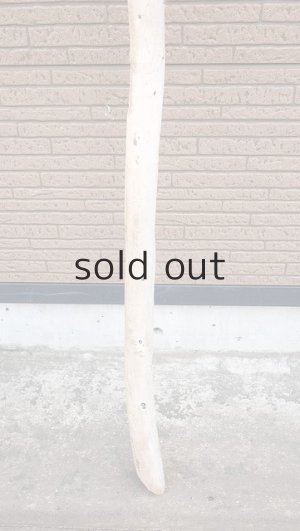 画像2: 棒流木・長尺