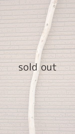 画像3: 棒流木・長尺