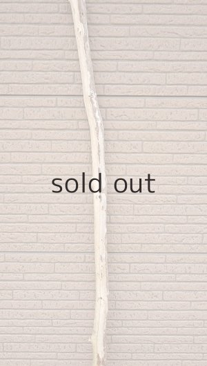 画像3: 棒流木・長尺