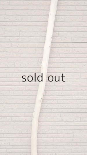 画像3: 棒流木・長尺