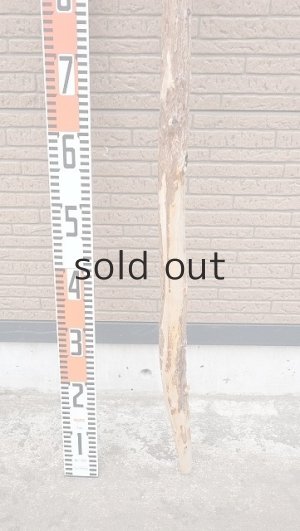 画像5: 棒流木・長尺