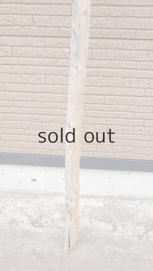 画像2: 棒流木・長尺