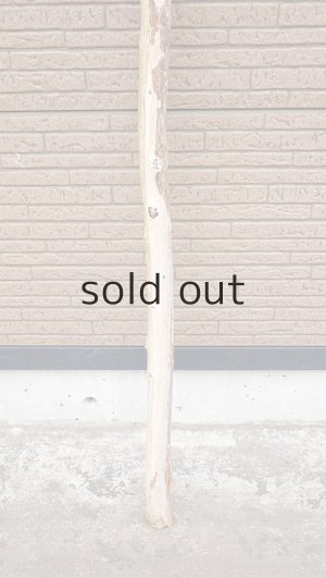 画像2: 棒流木・長尺