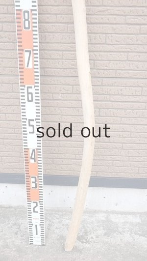 画像5: 棒流木・長尺