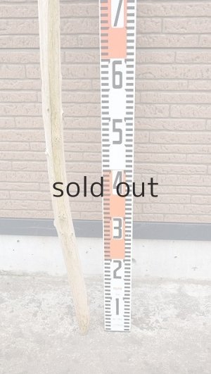 画像5: 棒流木・長尺