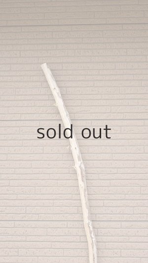 画像4: 棒流木・長尺