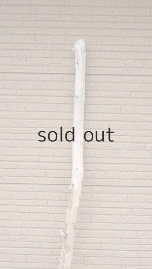 画像4: 棒流木・長尺