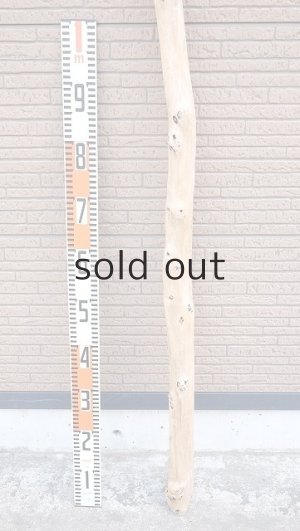 画像5: 棒流木・長尺