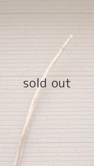 画像4: 棒流木・長尺