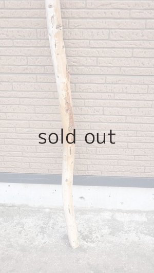 画像2: 棒流木・長尺