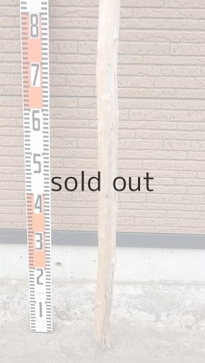 画像5: 棒流木・長尺