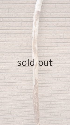 画像3: 棒流木・長尺