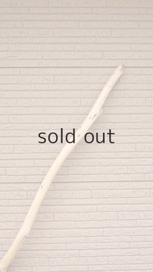 画像4: 棒流木・長尺