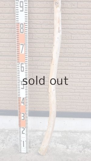 画像5: 棒流木・長尺