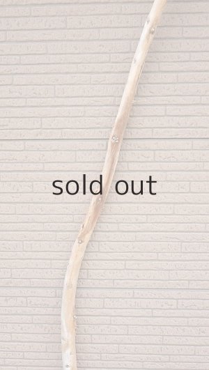 画像3: 棒流木・長尺