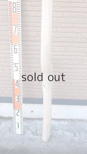 画像5: 幹流木・長尺