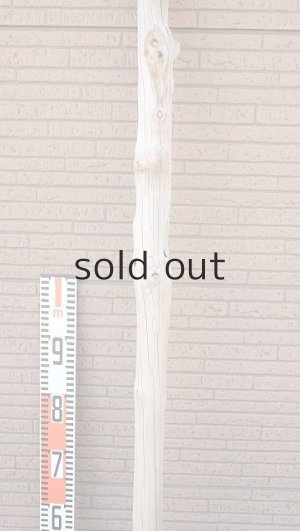 画像6: 幹流木・長尺