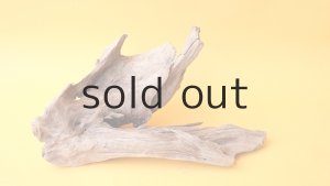 画像4: 変形流木