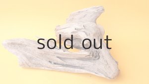 画像6: 変形流木