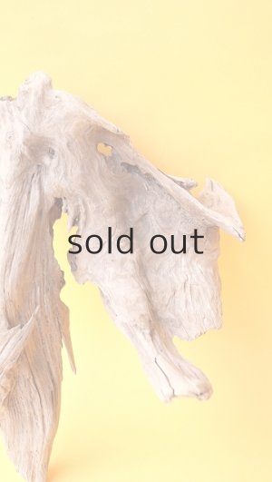 画像2: 変形流木