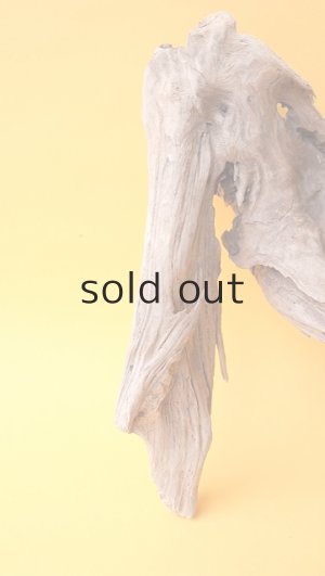 画像3: 変形流木