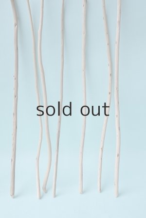 画像4: 棒流木・極細セット