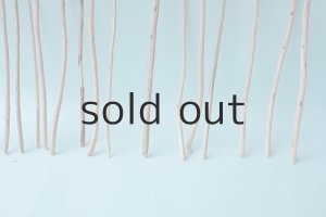 画像5: 棒流木・極細セット