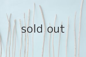 画像6: 棒流木・極細セット