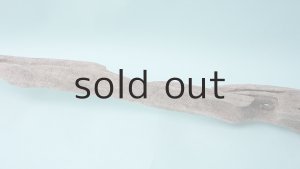 画像6: 変形流木