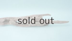 画像5: 変形流木