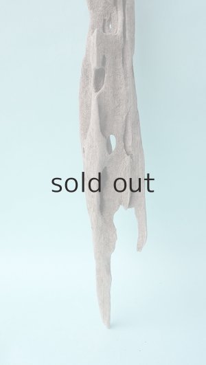 画像2: 変形流木