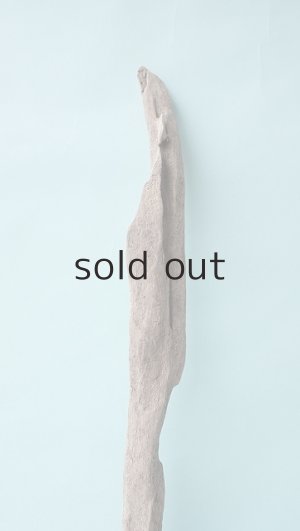 画像4: 変形流木