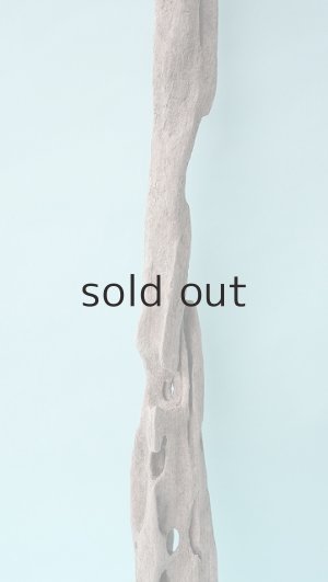 画像3: 変形流木