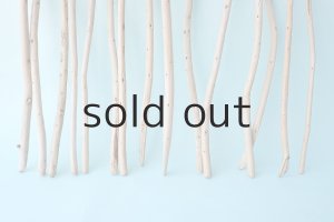 画像5: 棒流木セット