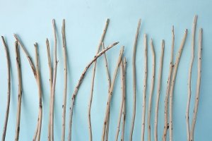 画像3: 棒流木・極細セット