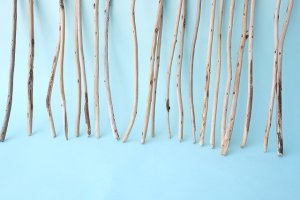 画像2: 棒流木・極細セット