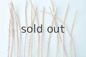 画像6: 棒流木セット