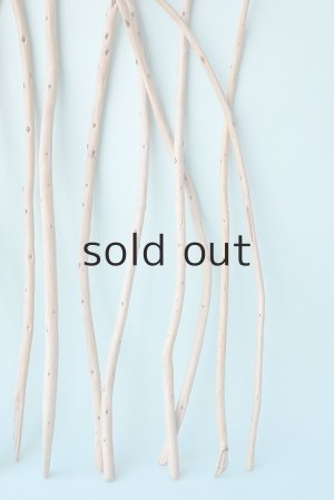 画像4: 棒流木セット