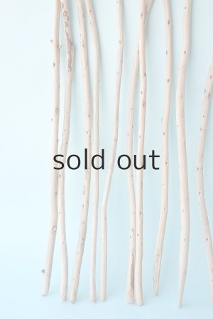 画像2: 棒流木セット