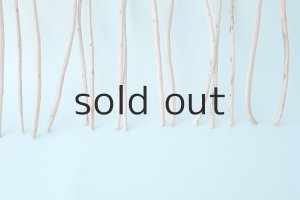 画像5: 棒流木セット