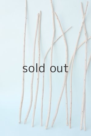 画像2: 棒流木セット