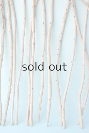 画像3: 棒流木セット