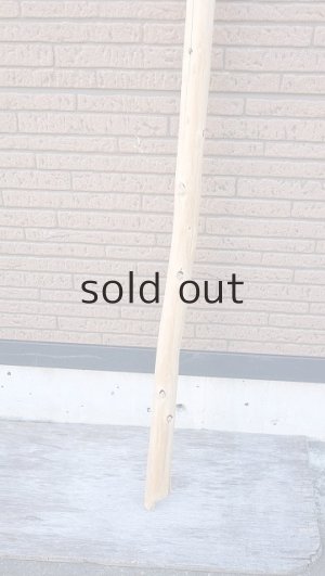 画像2: 棒流木・長尺