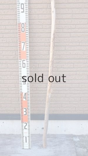 画像5: 棒流木・長尺