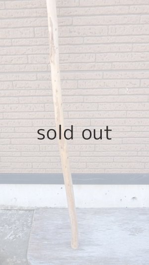 画像2: 棒流木・長尺