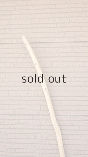 画像4: 棒流木・長尺