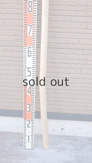 画像5: 棒流木・長尺