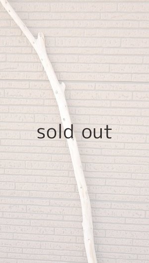 画像3: 棒流木・長尺